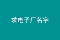 征集电子厂名字